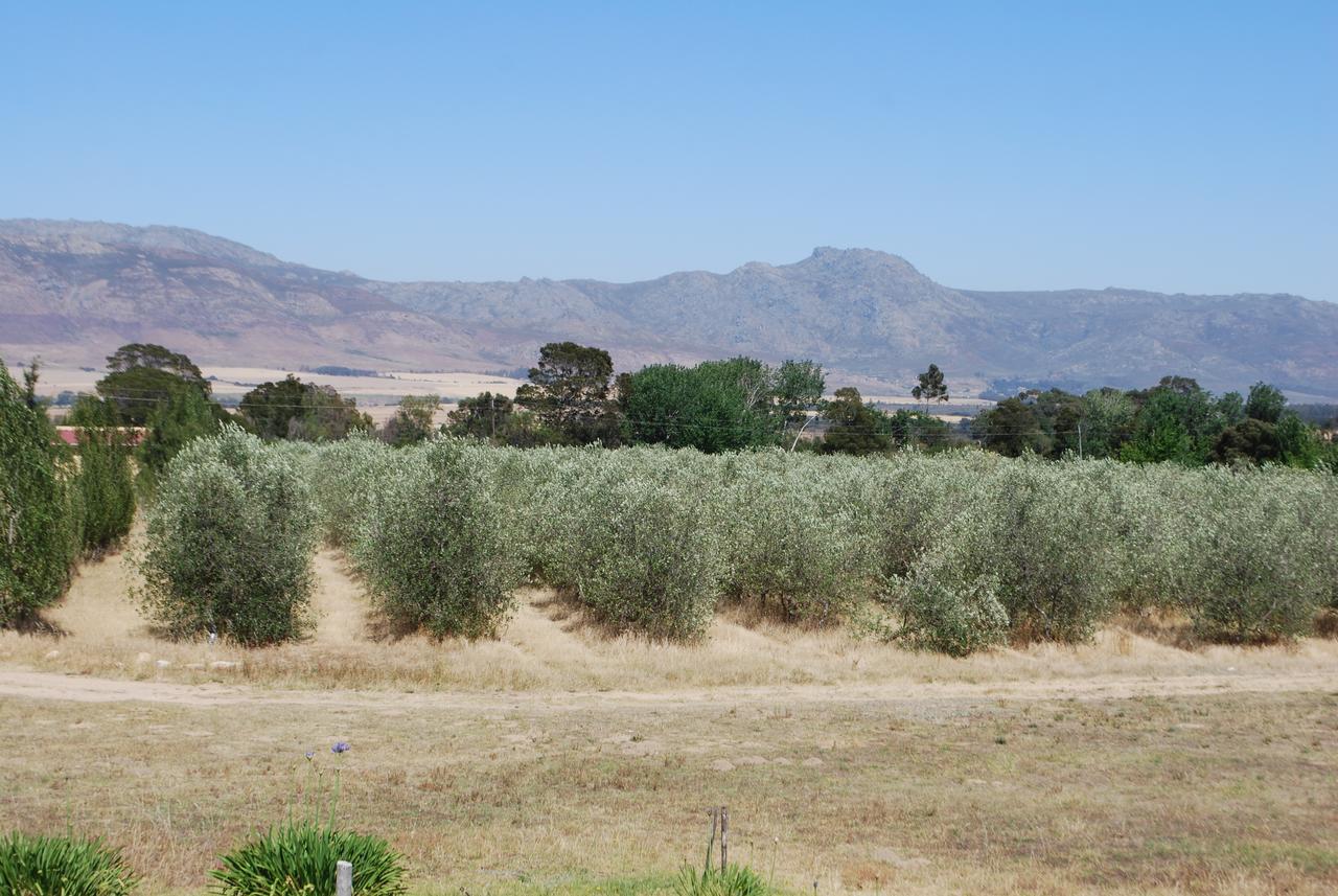 Fraaigelegen Farm - Home Of Adhara Evoo Tulbagh Exterior foto