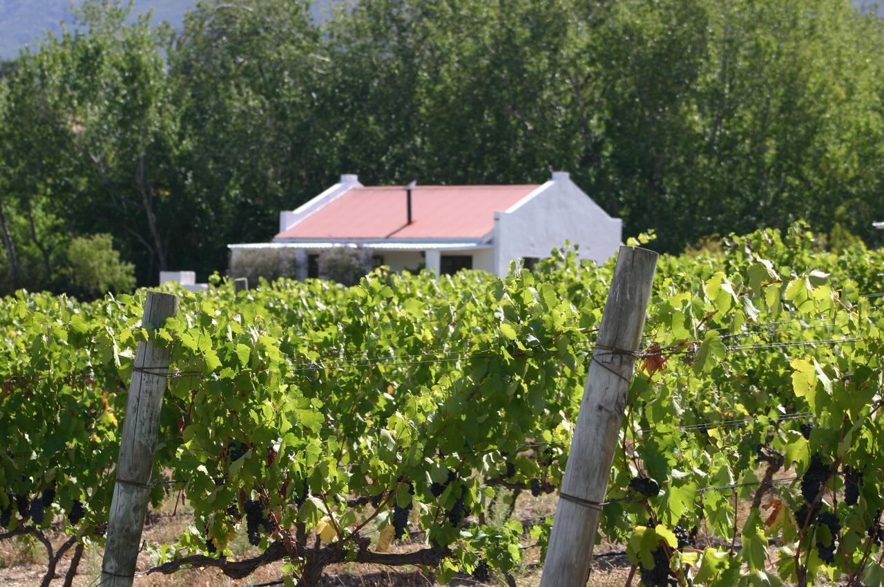 Fraaigelegen Farm - Home Of Adhara Evoo Tulbagh Exterior foto