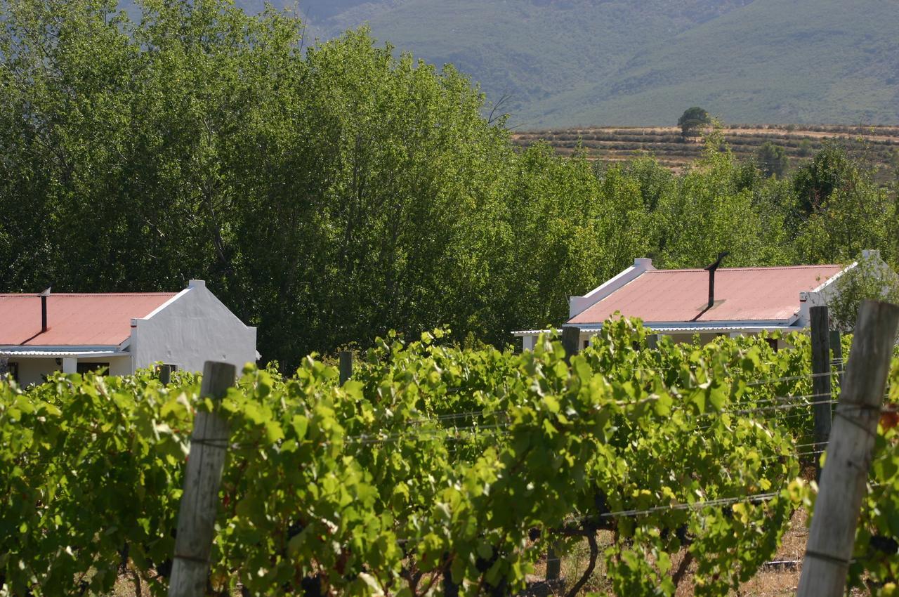 Fraaigelegen Farm - Home Of Adhara Evoo Tulbagh Exterior foto