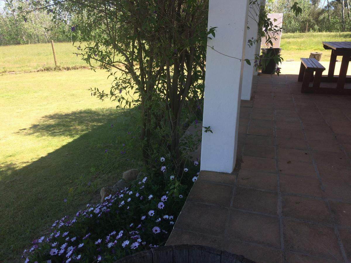 Fraaigelegen Farm - Home Of Adhara Evoo Tulbagh Exterior foto