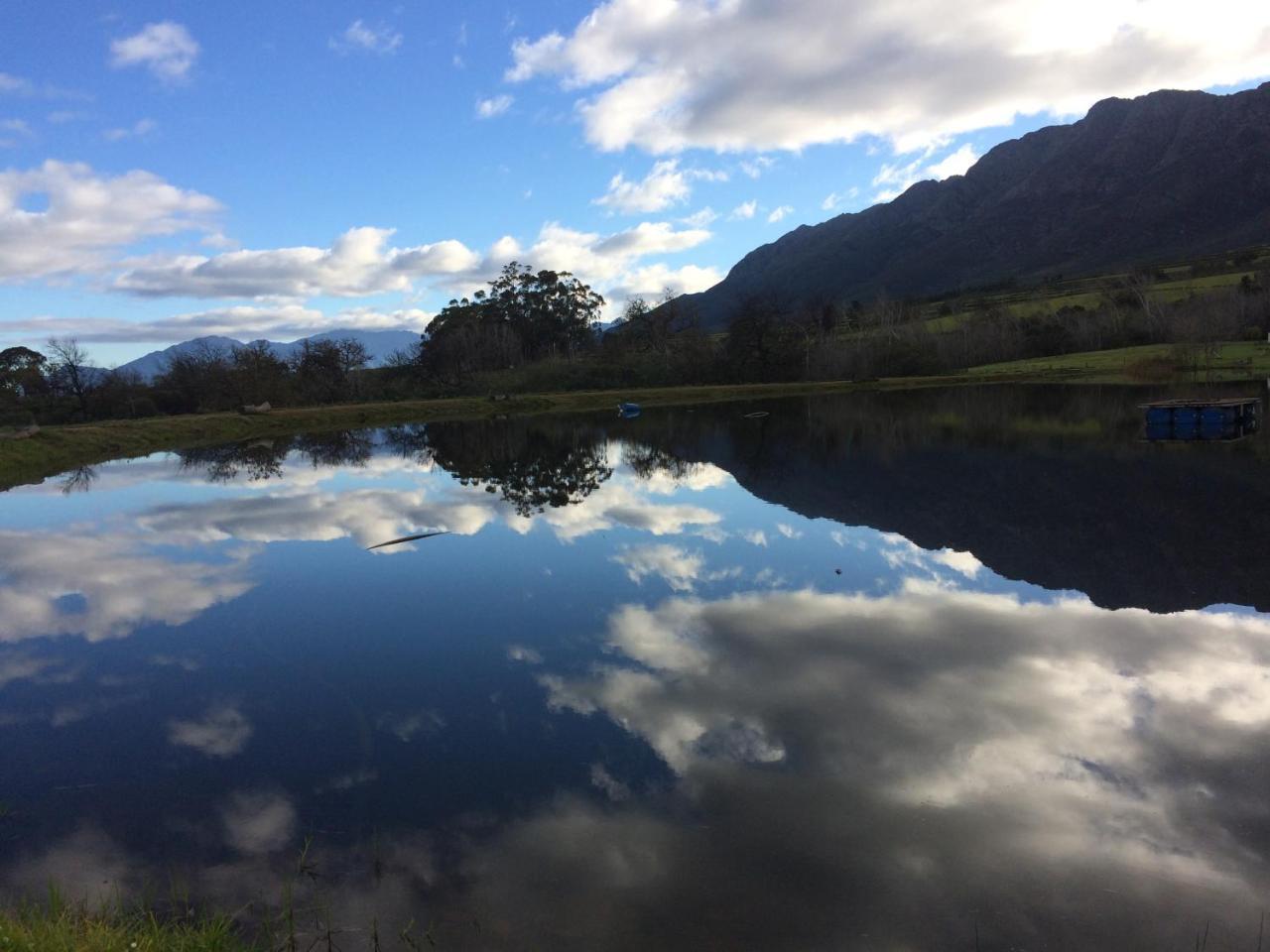 Fraaigelegen Farm - Home Of Adhara Evoo Tulbagh Exterior foto