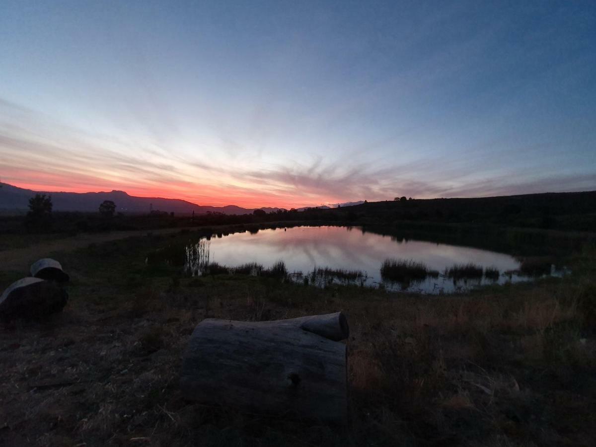 Fraaigelegen Farm - Home Of Adhara Evoo Tulbagh Exterior foto