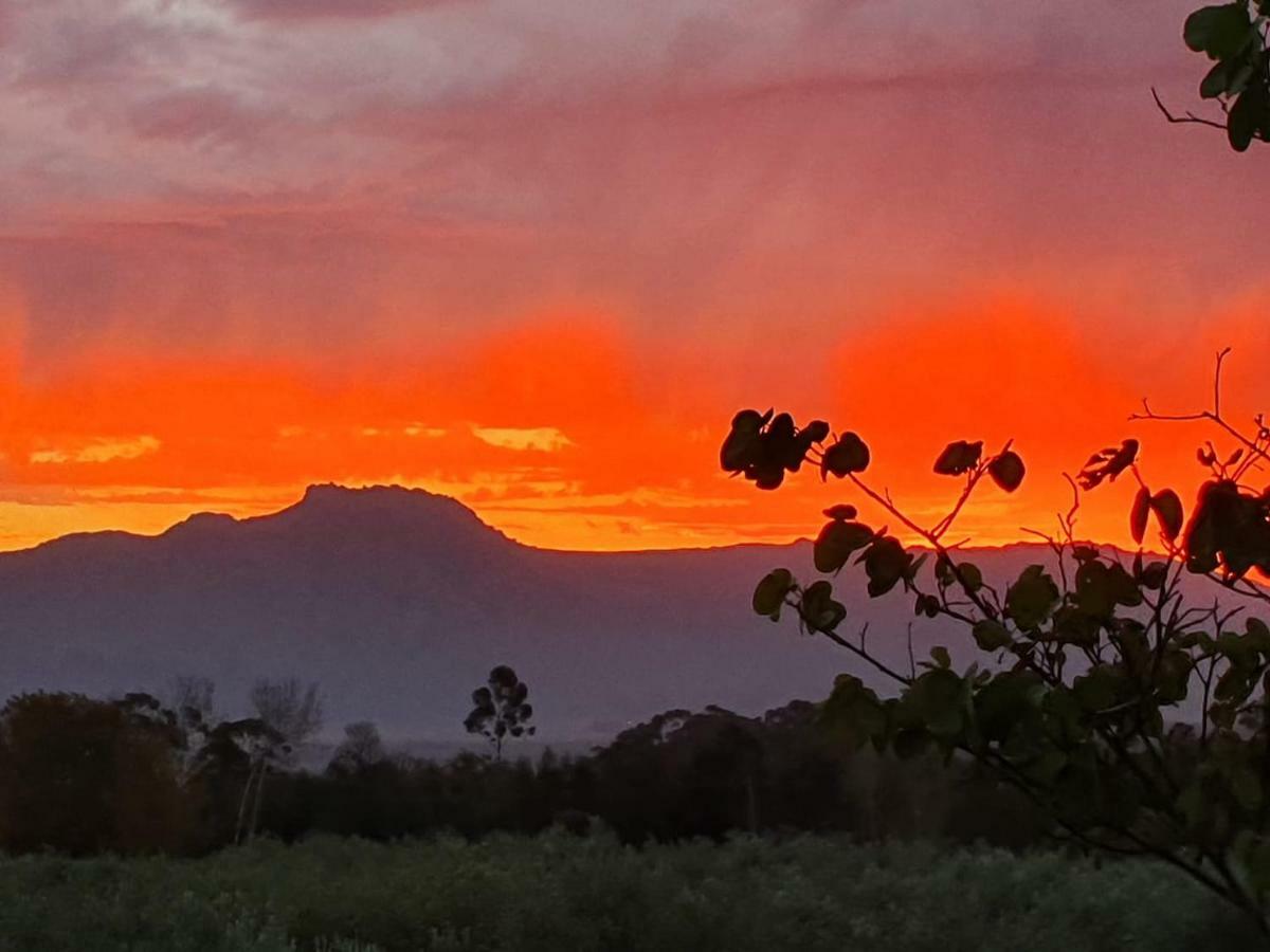 Fraaigelegen Farm - Home Of Adhara Evoo Tulbagh Exterior foto