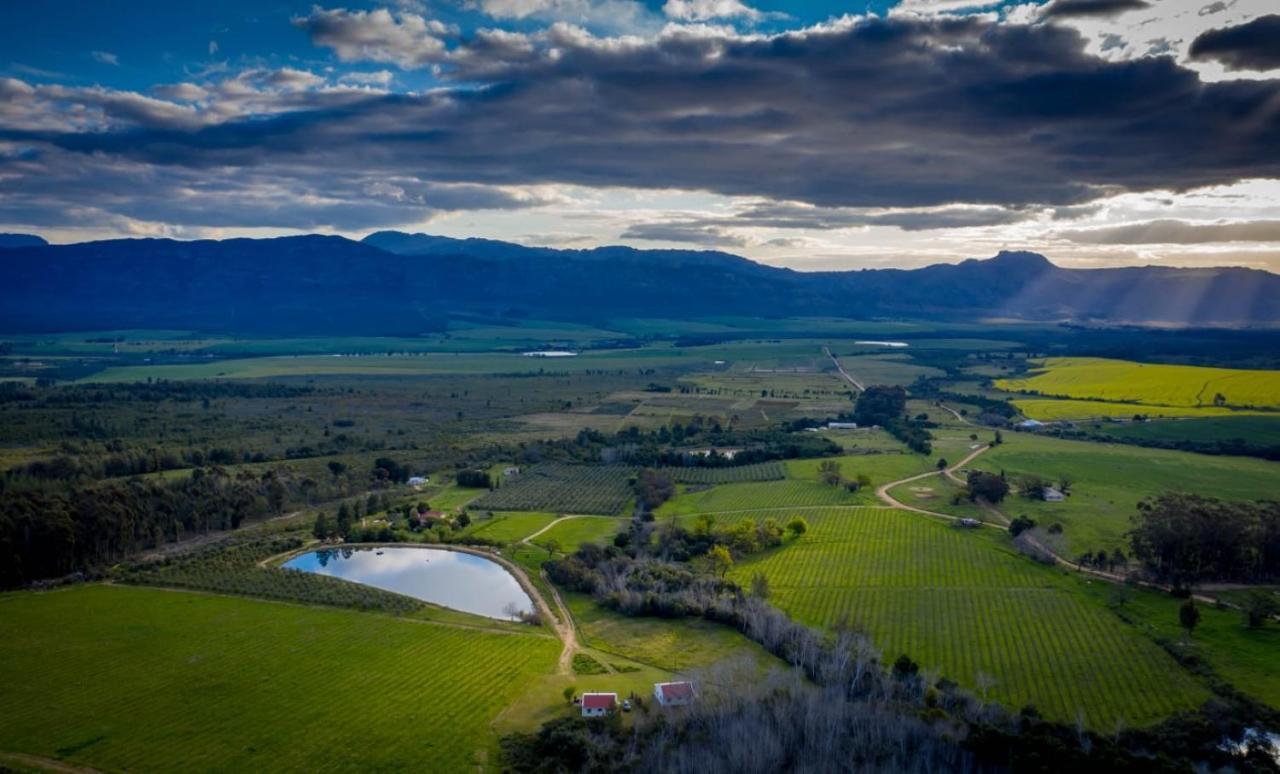 Fraaigelegen Farm - Home Of Adhara Evoo Tulbagh Exterior foto
